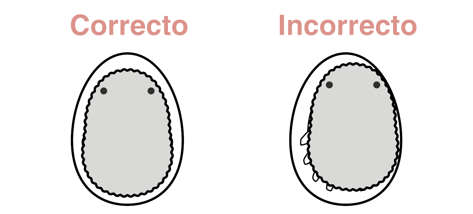 charge_point_mannnaka01 EN